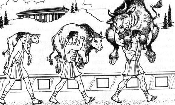 Milo Croton