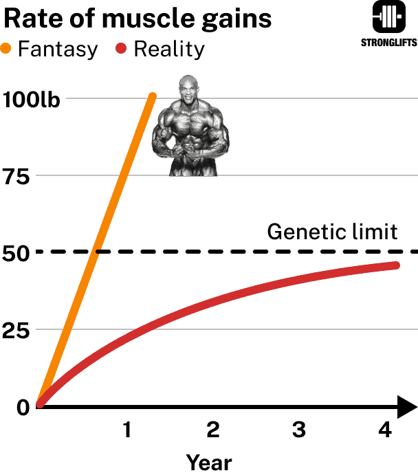 Rate of muscle gains: reality vs fantasy Rate of muscle gains: reality vs fantasy.