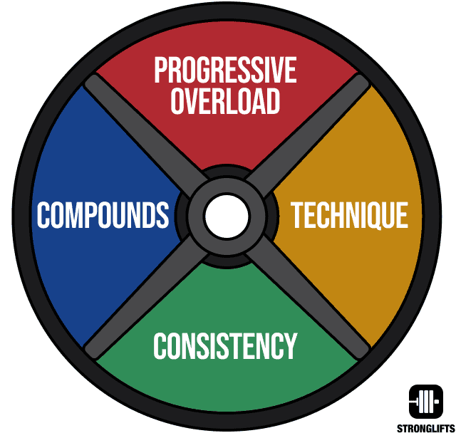 Fundamentals of strength and muscle building